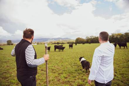 → Producteur &amp; Territoire Ain · AinTimiste