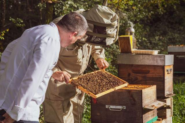 → AinTimiste · Restaurant Gastronomique Ain · Photos